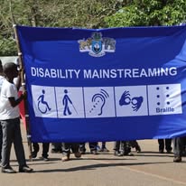 Disability rights advocacy